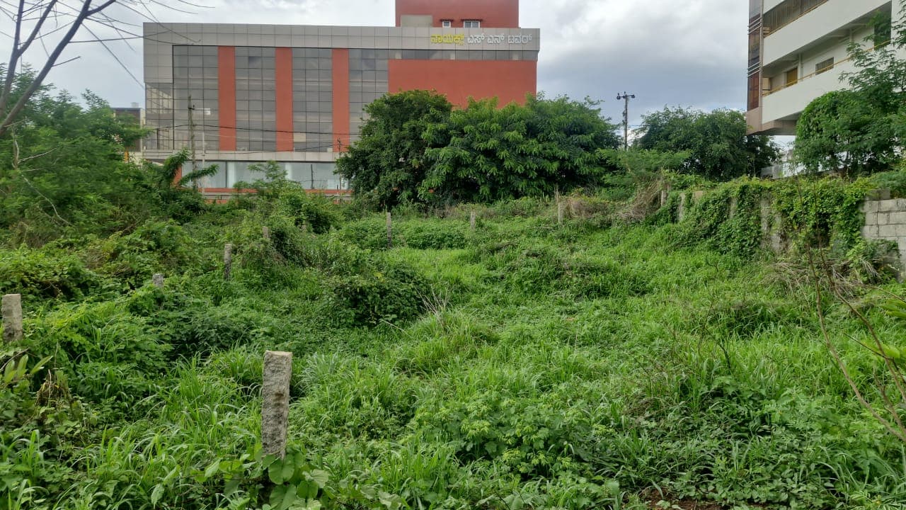 BDA SITE